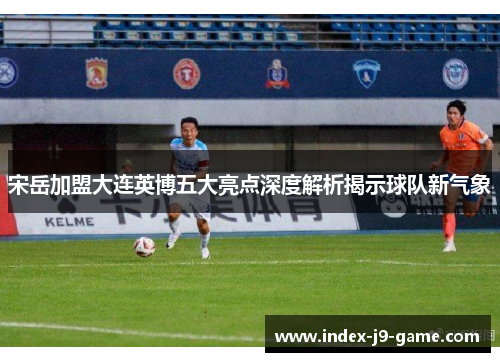 宋岳加盟大连英博五大亮点深度解析揭示球队新气象