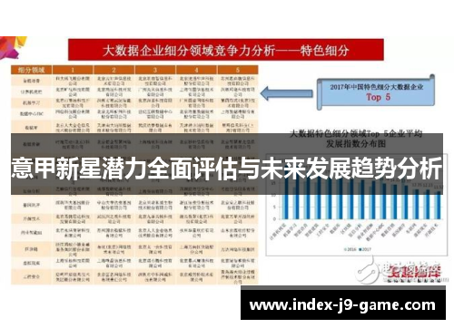 意甲新星潜力全面评估与未来发展趋势分析
