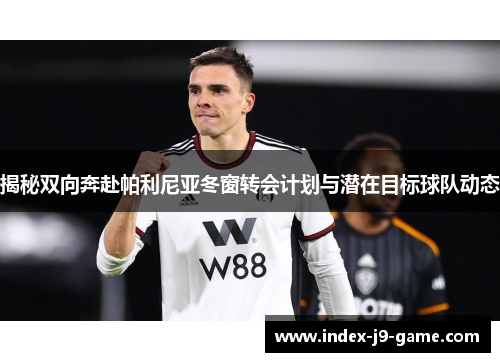 揭秘双向奔赴帕利尼亚冬窗转会计划与潜在目标球队动态 揭秘双向奔赴帕利尼亚冬窗转会计划与潜在目标球队动态