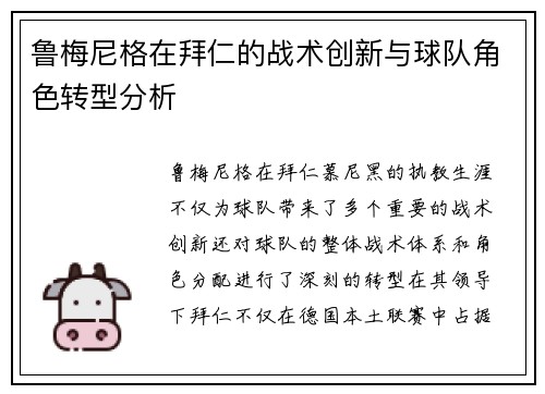 鲁梅尼格在拜仁的战术创新与球队角色转型分析 鲁梅尼格在拜仁的战术创新与球队角色转型分析
