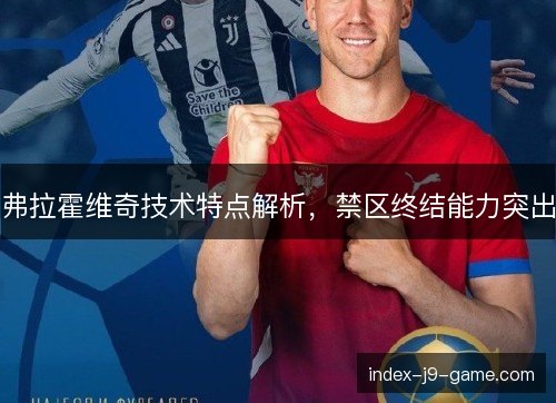 弗拉霍维奇技术特点解析,禁区终结能力突出 弗拉霍维奇技术特点解析,禁区终结能力突出